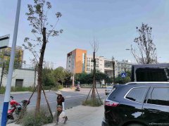已租＊＊＊＊＊下江北中梁壹号院空门面出租