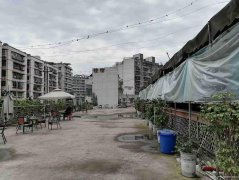 已租＊＊＊＊＊＊＊上江北葡萄园老兵茶园出租