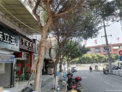 已租＊＊＊＊＊＊南岸三中新装修空门面出租
