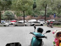 已租＊＊＊＊＊＊下江北众生广场临街门面出租