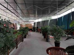 南岸雪滩花园餐饮棋牌出租