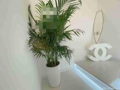已转＊＊＊＊＊西区原著荟美容院转让