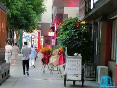 已租＊＊＊＊＊＊＊南岸叙府路空门面出租