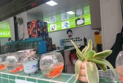 南岸西区山水原著火锅店转让
