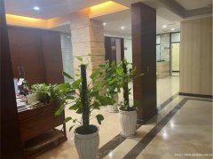 老城区金沙广场空门面出租，适合各行各业