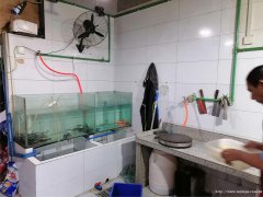 已转* * * *  *西区邦泰天誉火锅店转让