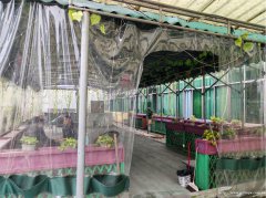 上江北葡萄园茶坊出租，接手可营业