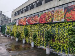 上江北葡萄园茶坊出租，接手可营业