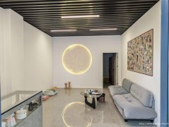 编号123，宜宾西站站前广场宠物善终店➕宠物用品店转让