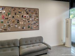 编号123，宜宾西站站前广场宠物善终店➕宠物用品店转让