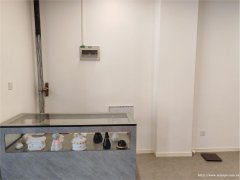 编号123，宜宾西站站前广场宠物善终店➕宠物用品店转让