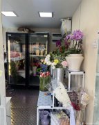 编号179，南岸莱茵春天花店转让或空转