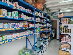 已转* * * ** * * *南岸东区南门桥头宠物用品店转