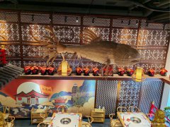 编号250，西区邦泰天誉火锅店500平米急转