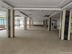 编号289，老城区翠屏路空门面出租，，，，，
